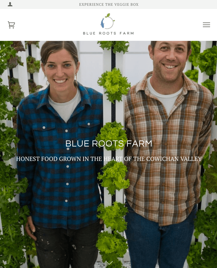 build a farm website - example: blue roots farm has a great site