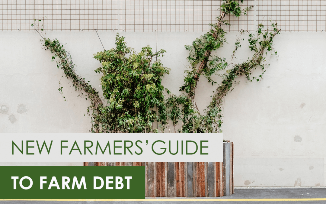 Farm Debt featured