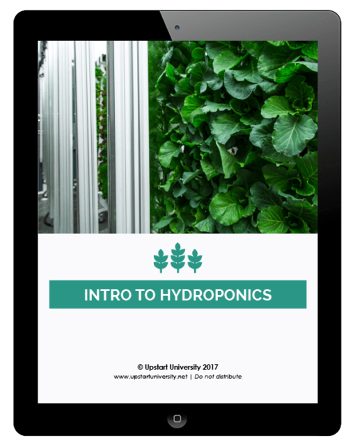 Intro to Hydroponics