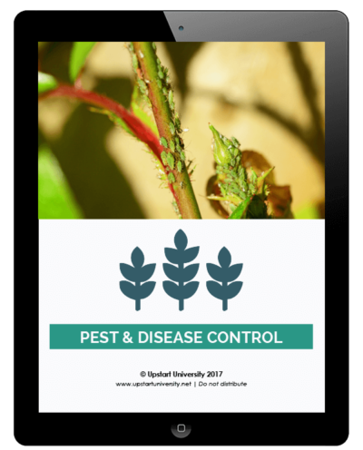 Pest and Disease Control