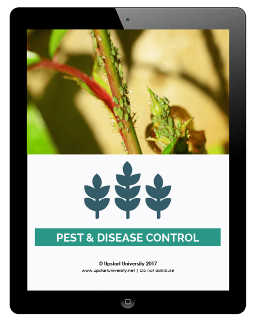 Pest and Disease Control