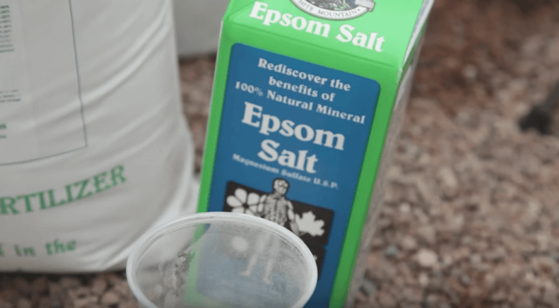 mixing hydroponic nutrients epsom salt