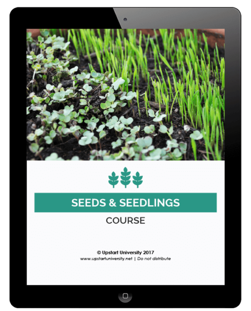 Seeds and Seedlings