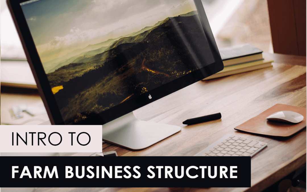 businessstructurefeatured