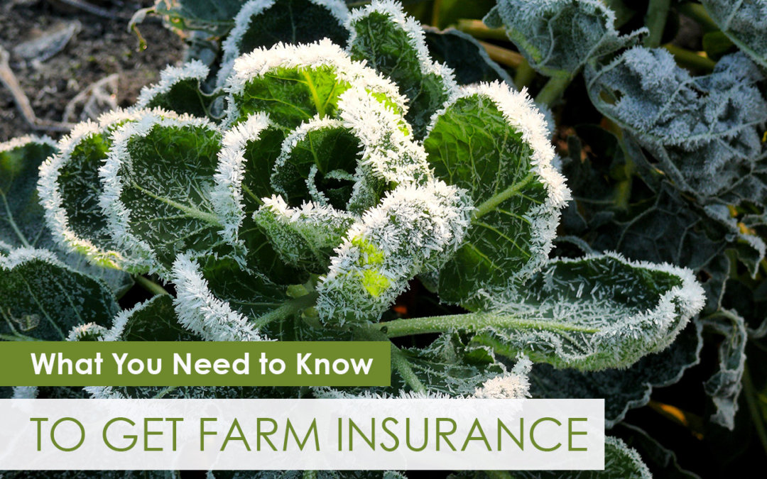 What You Need to Know To Get Farm Insurance