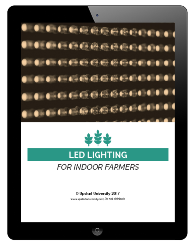 LED Lighting