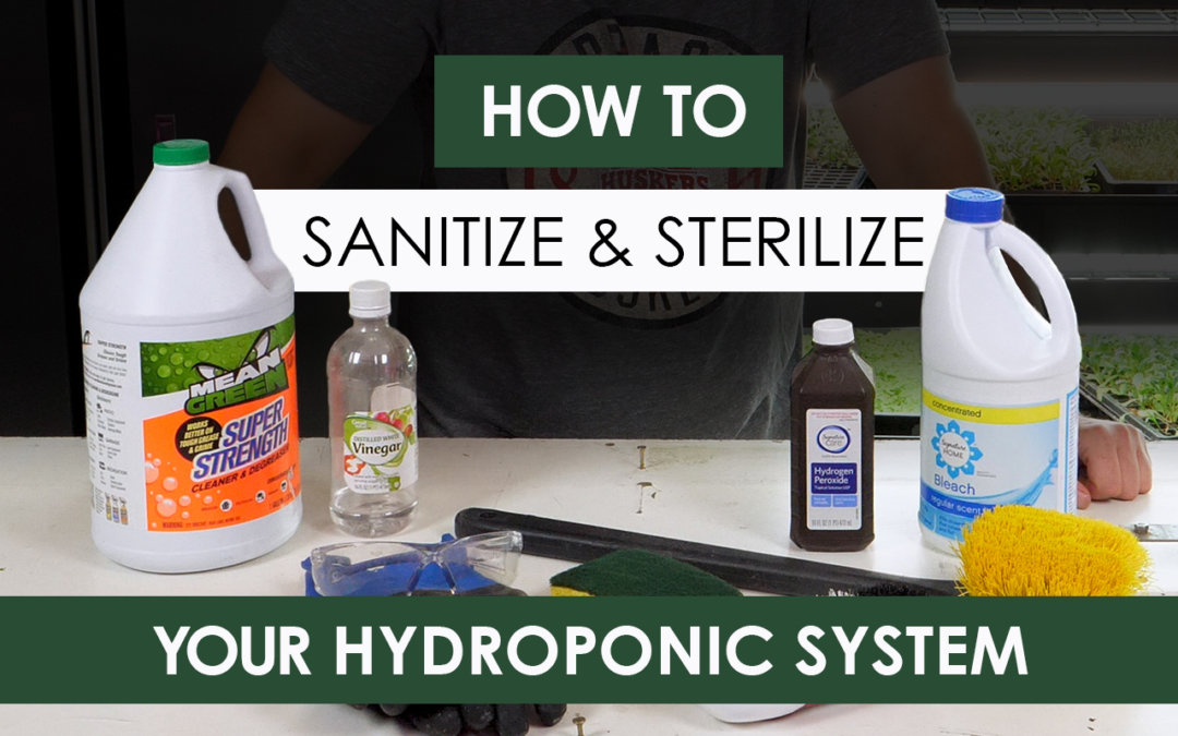 How to Sanitize and Sterilize Hydroponic Systems