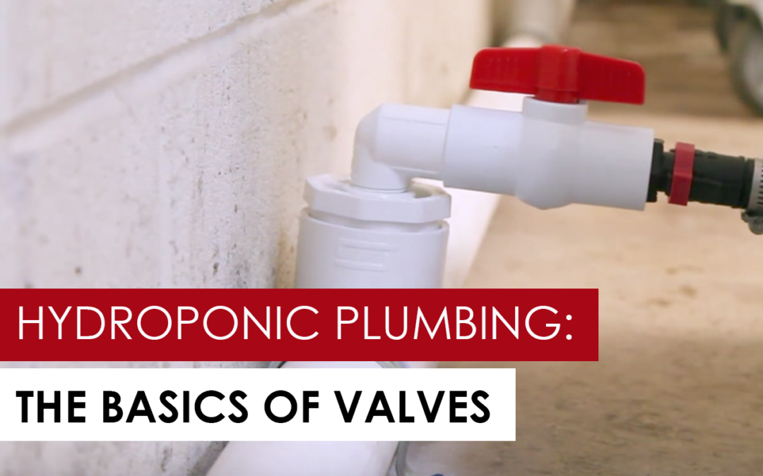 Plumbing in Hydroponics: What You Need to Know About Valves