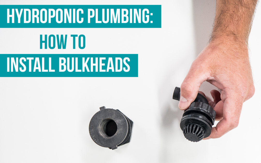 How to be Successful at Plumbing Bulkheads