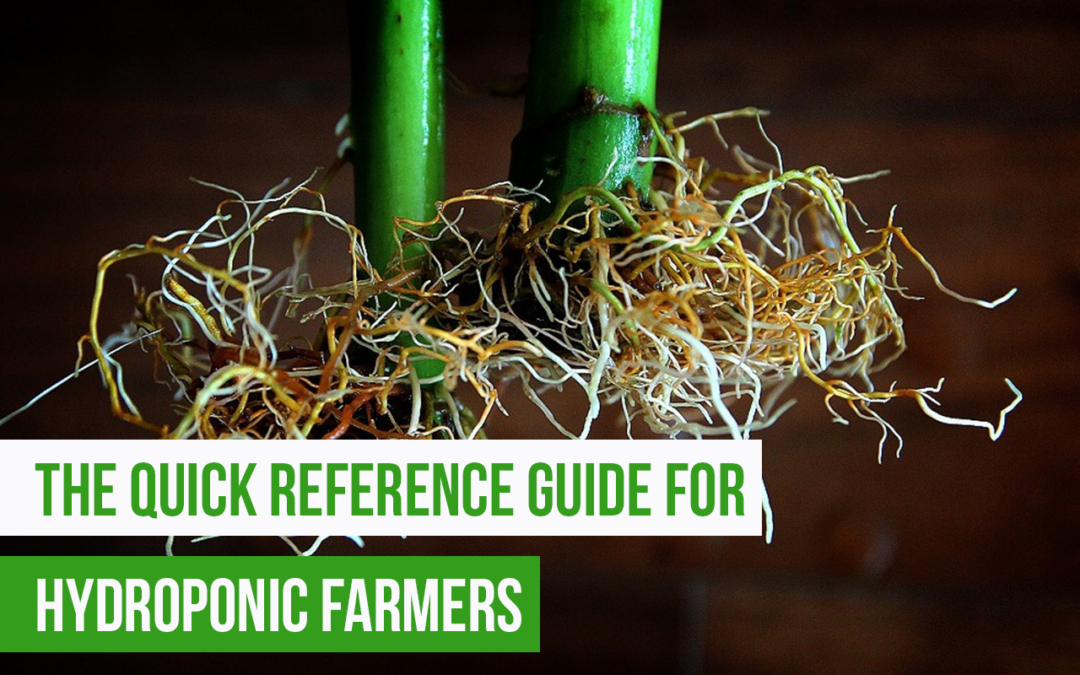 The Quick Reference Guide for Hydroponic Farmers