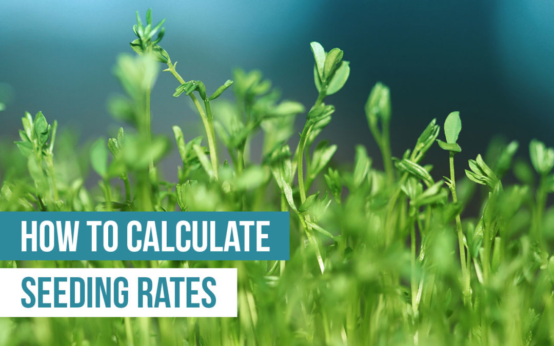 How to Accurately Compensate for Seedling Loss