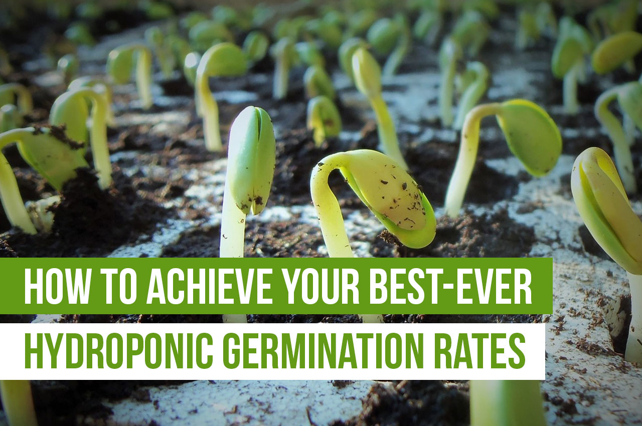 sunGroom High Yield Hydroponic Greenhouse Germination Fast Seeding Indoor Grow 