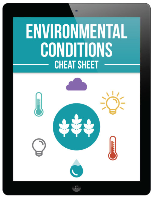 Environmental conditions