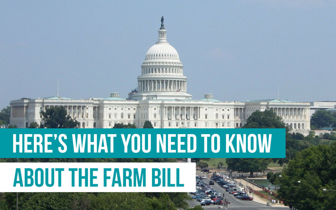 Here’s What You Need to Know About The Farm Bill