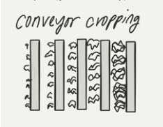 crop cycles