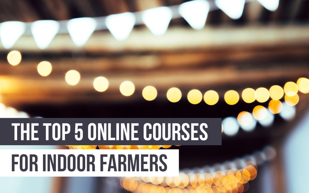 The Top 5 Courses for Indoor Farmers