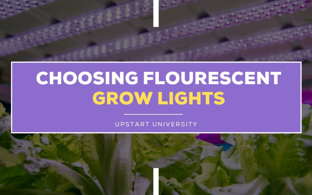 How To Choose Fluorescent Grow Lights For Your Farm